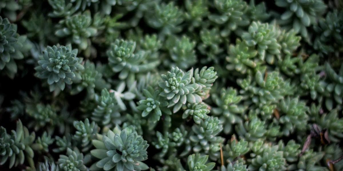 Targetweb - Agentie SEO